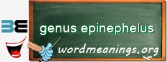 WordMeaning blackboard for genus epinephelus